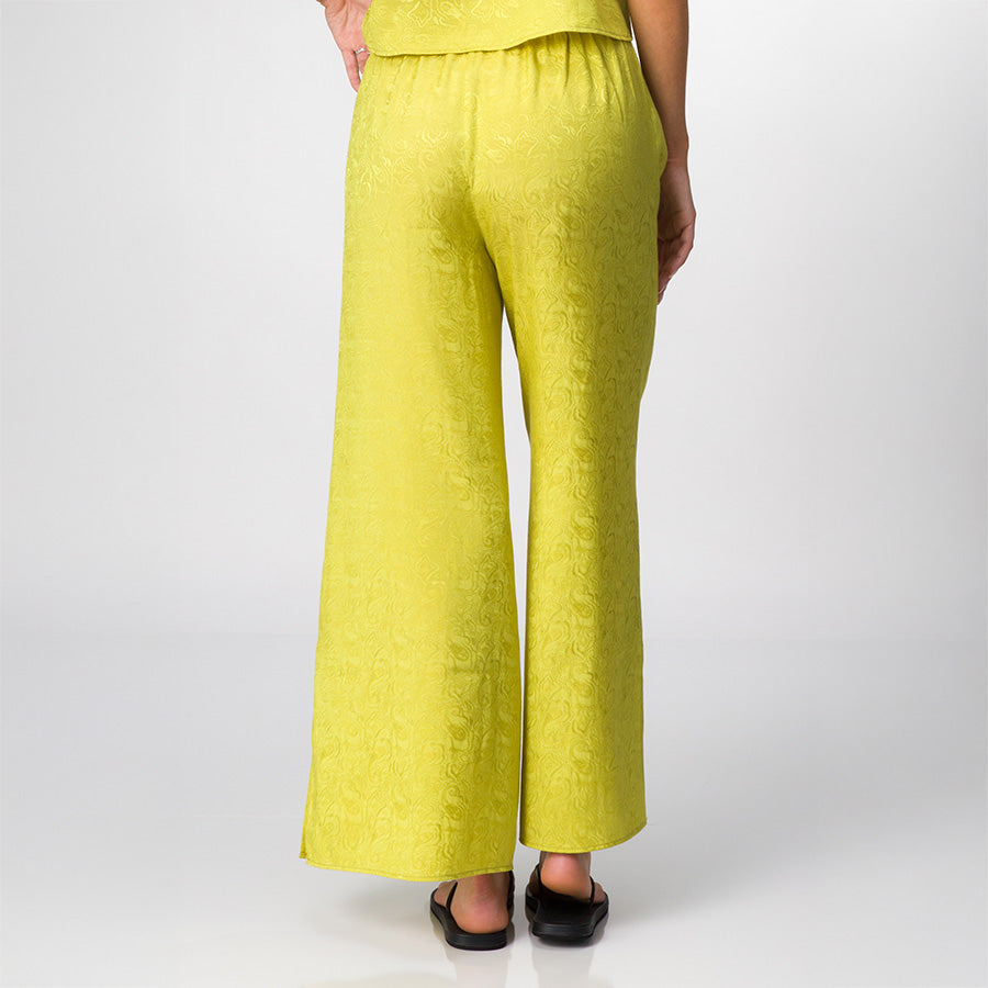 Ollie Pant - Image 3