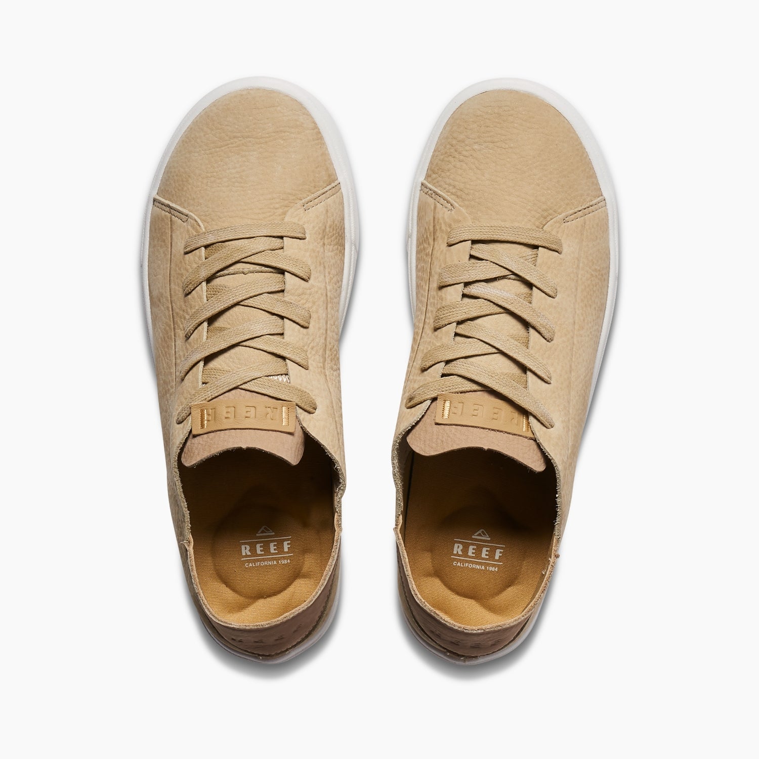 Terramar Leather - Image 4