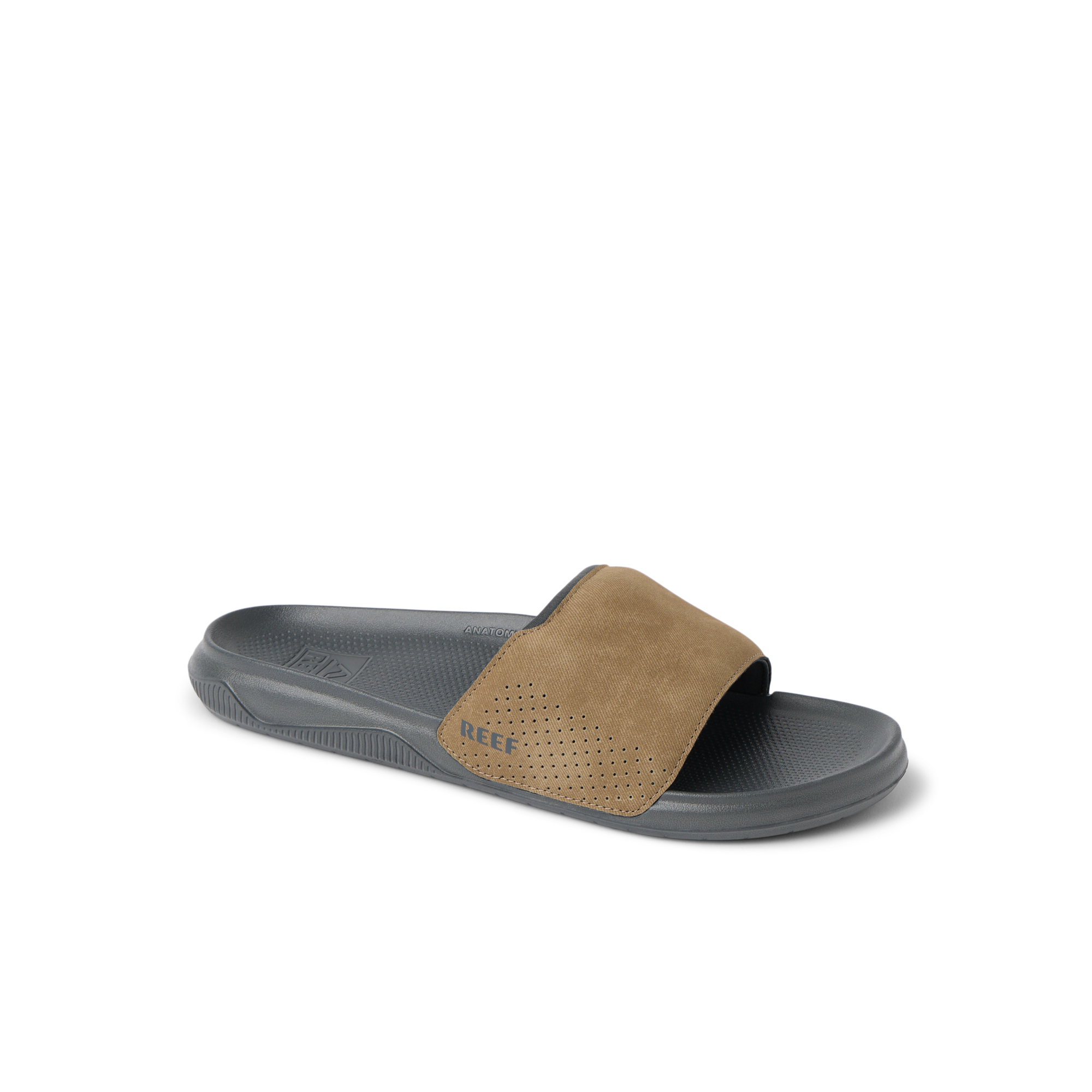 Tailslide - Image 2